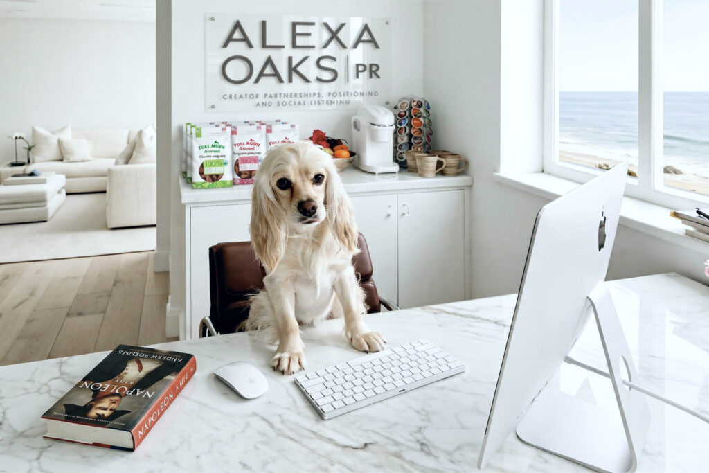 Dulcé sitting in the desk chair with her paws on the marble desk beside the keyboard, beneath the Alexa Oaks PR sign, in the Laguna Beach office.